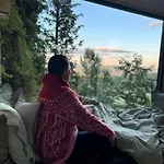 Willa Lauv Tretopphytter *