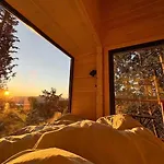 Lauv Tretopphytter Eidsvoll