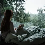 Willa Lauv Tretopphytter Eidsvoll