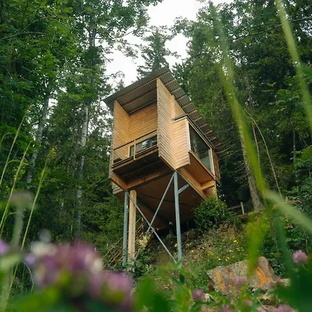 Lauv Tretopphytter * Eidsvoll