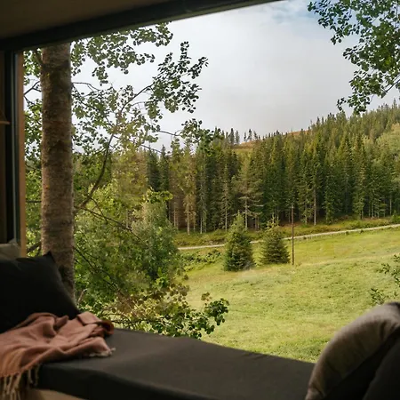 Lauv Tretopphytter Villa Eidsvoll