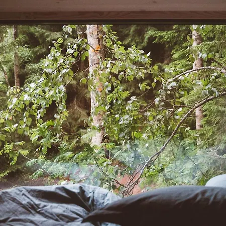 Lauv Tretopphytter * Eidsvoll