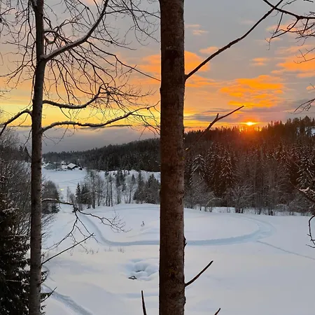 Villa Lauv Tretopphytter Eidsvoll