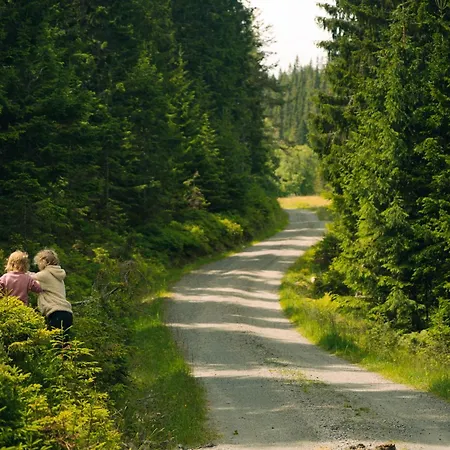 Lauv Tretopphytter Villa