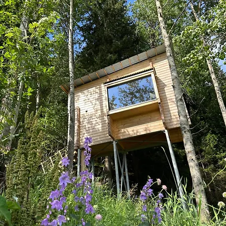 Lauv Tretopphytter Villa