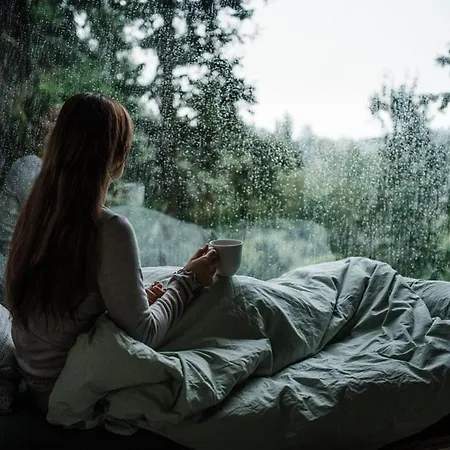 Villa Lauv Tretopphytter Eidsvoll