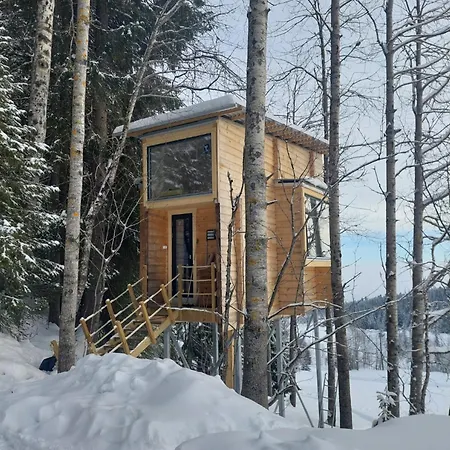 Lauv Tretopphytter Villa Eidsvoll