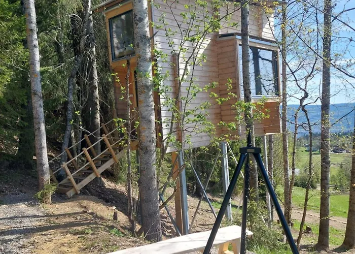 Lauv Tretopphytter Willa Eidsvoll