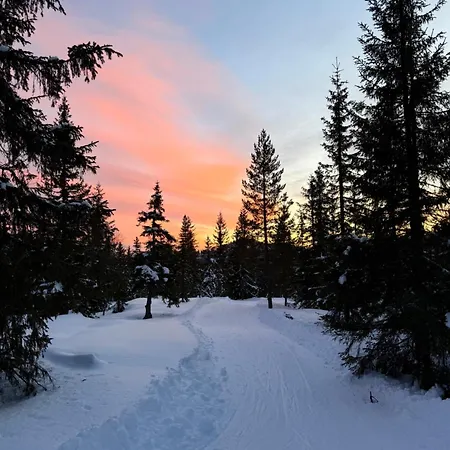 Villa Lauv Tretopphytter Eidsvoll