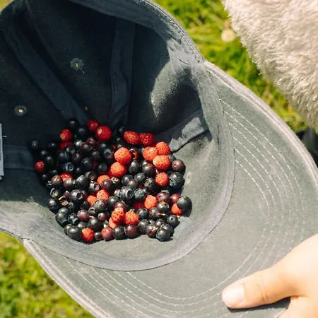 Lauv Tretopphytter * Eidsvoll