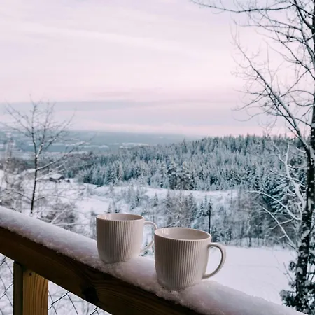 Lauv Tretopphytter Villa Eidsvoll