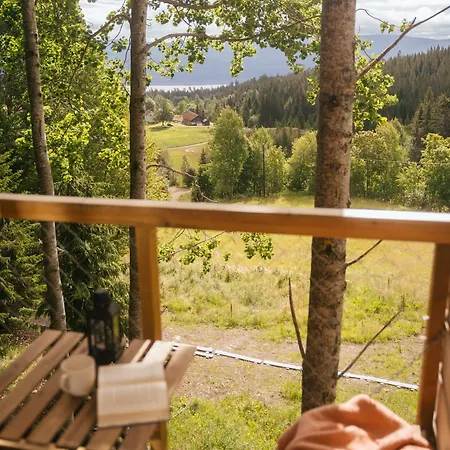 Lauv Tretopphytter Villa Eidsvoll