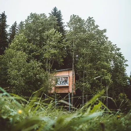 Lauv Tretopphytter Villa Eidsvoll