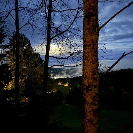 Villa Lauv Tretopphytter *